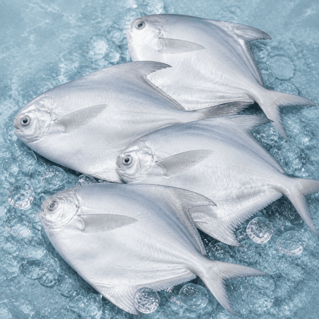 Whole Fish